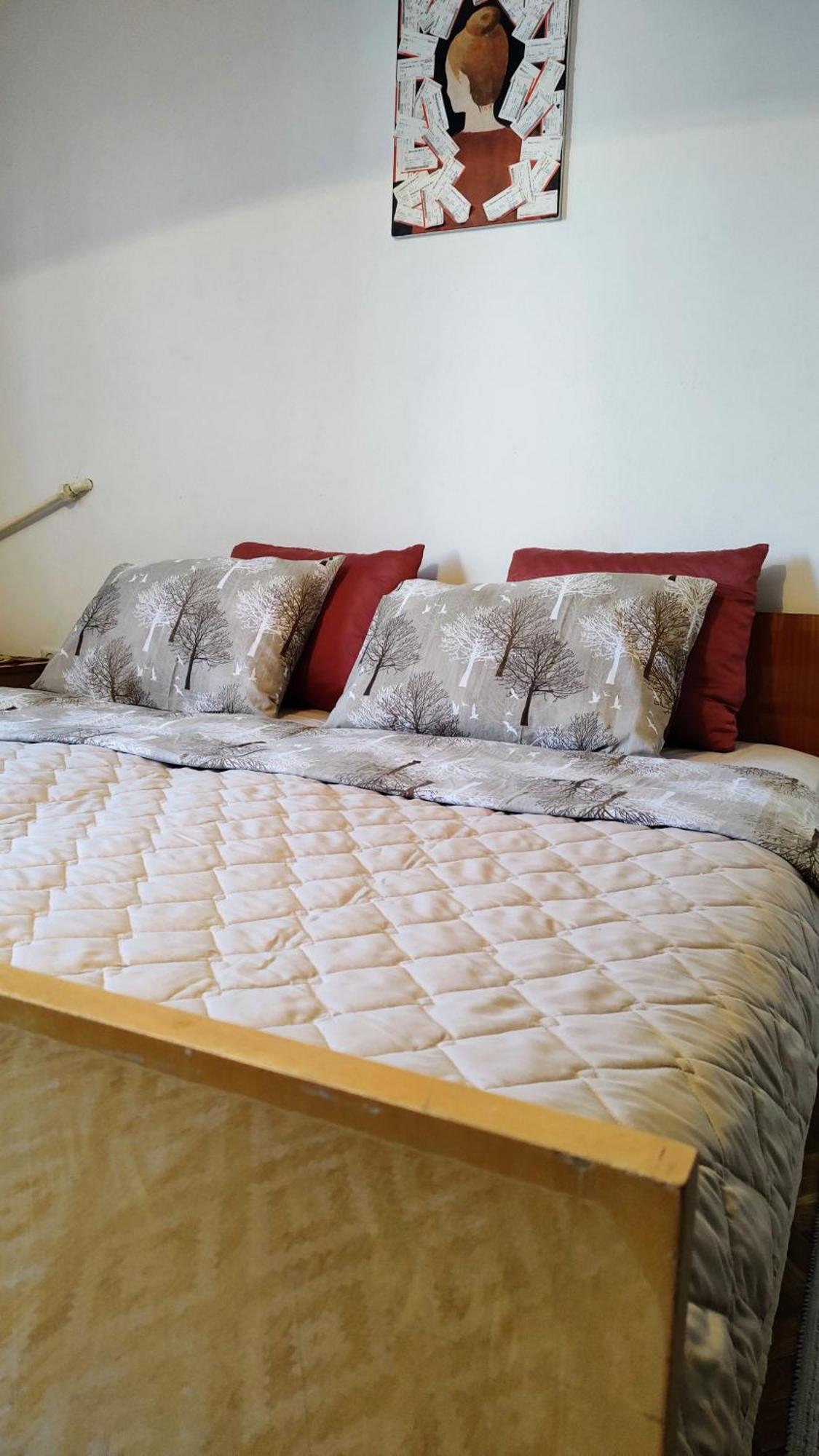 סקופיה Digital Nomad Comfy Apartment,Foot Mountain Vodno And Millennium Cross,19 Min By Walk To Cener,Free Parking מראה חיצוני תמונה