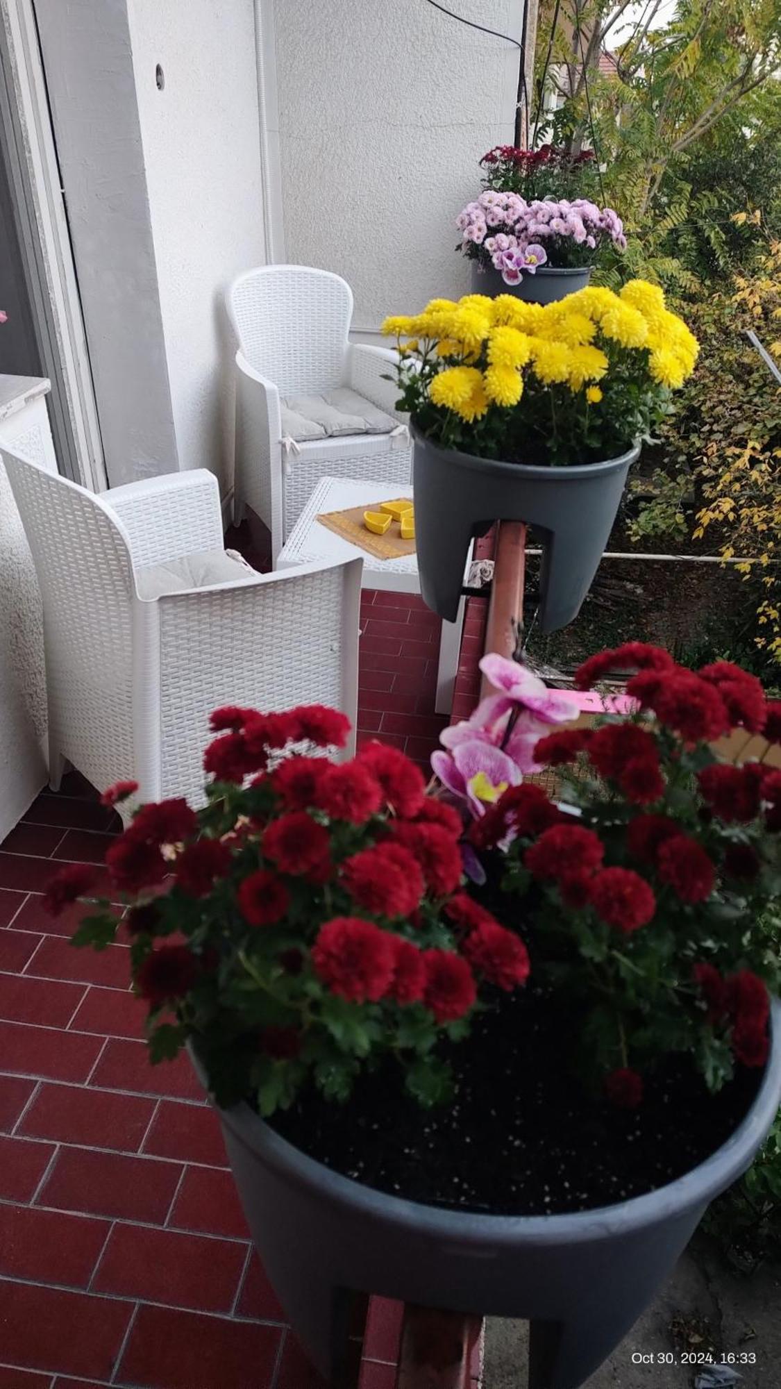 סקופיה Digital Nomad Comfy Apartment,Foot Mountain Vodno And Millennium Cross,19 Min By Walk To Cener,Free Parking מראה חיצוני תמונה